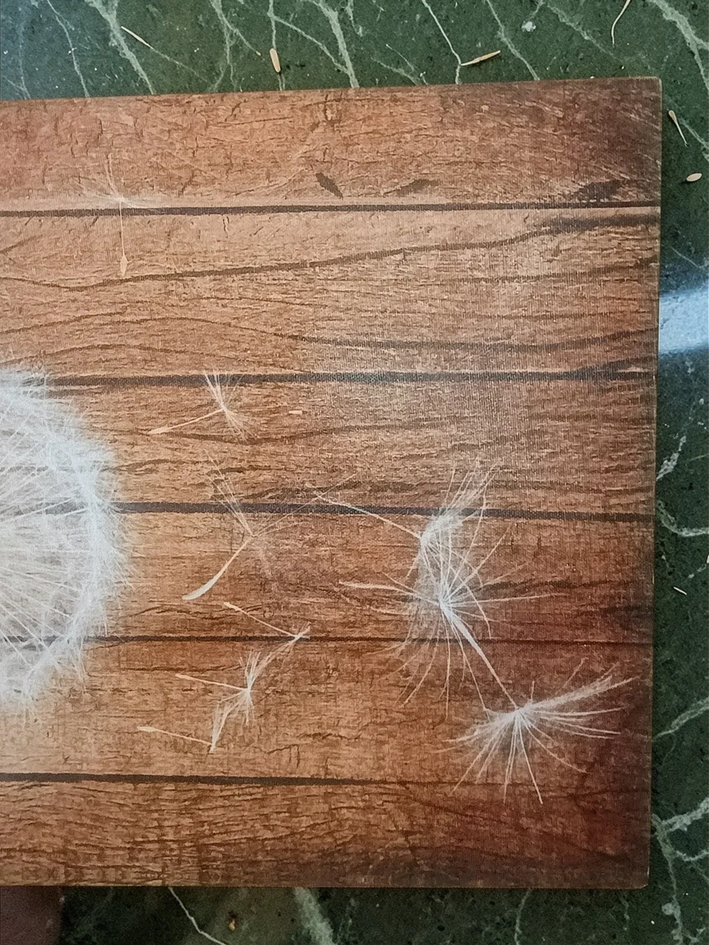 Wall26 Dandelion Canvas Wall Art - 15.75